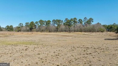 Kent Rock Road Unit: Tract 3, Loganville, GA 30052 - photo 7