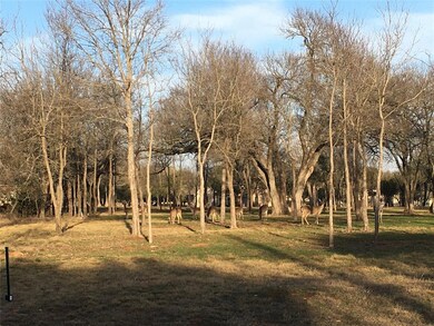 38009 Cedar Trail, Whitney, TX 76692 - photo 4