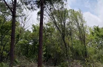 0 Ash Dr, Brazoria, TX 77422 - photo 2