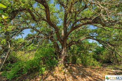 3885 Harmon Rd, Copperas Cove, TX 76522 - photo 7