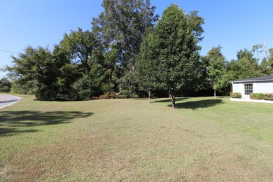 04 - 6669 Goodall Mill Rd - Frontyard 1