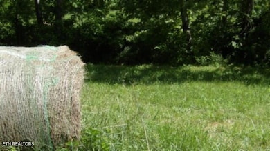 0 Brimstone Creek Rd unit 1295468, Moss, TN 38575 - photo 4