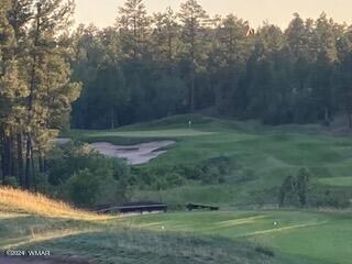 3680 Sage Ln, Show Low, AZ 85901 - photo 5