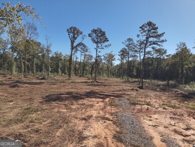 283 Lower Simmons Rd, Macon, GA 31220 - photo 6