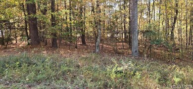 00 Weavers Chapel Rd, Littleton, NC 27850 - photo 6