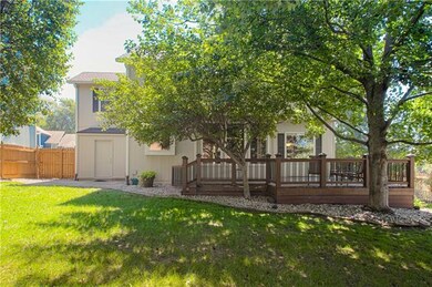 Lots of room to roam in this backyard!