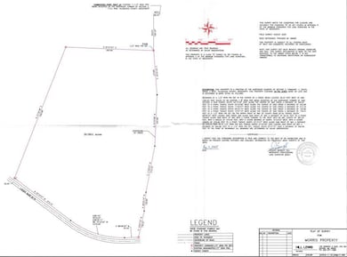 20.7 ac County Road 118, Water Valley, MS 38965 - photo 4