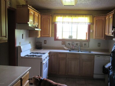 23281 W Willow Fishhook Rd, Willow, AK 99688 - photo 4