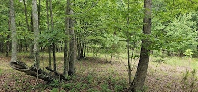 image000007