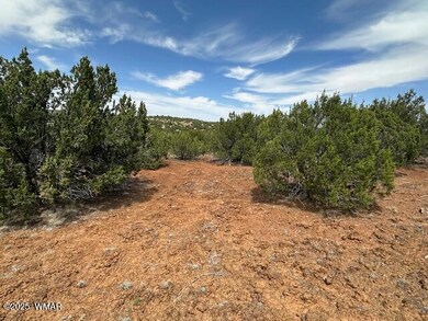 50 County Rd, Concho, AZ 85924 - photo 5