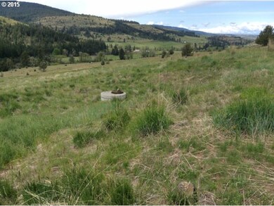 0 Keeney Forks Rd, Long Creek, OR 97856 - photo 3