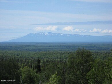 Mt. Susitna