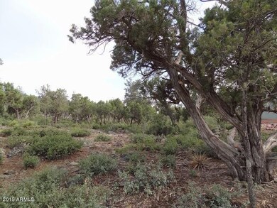 807 E Phoenix St unit 50, Payson, AZ 85541 - photo 2