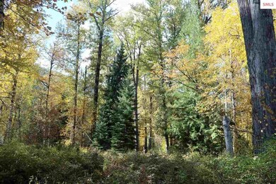 0 A St unit 20210121, Sandpoint, ID 83864 - photo 5