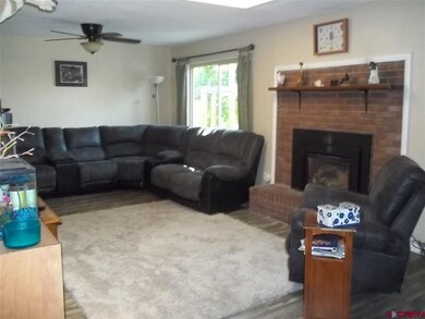 256 SW 8th Cir, Cedaredge, CO 81413 - photo 5