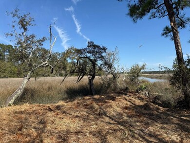 US Highway 17 unit Sanderling Trace, Waverly, GA 31565 - photo 5