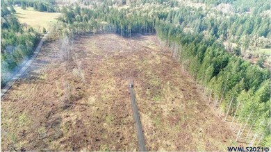 0 Gooseneck (Parcel #289476) Rd, Sheridan, OR 97378 - photo 5