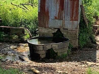 2794 Highway 1058, Jamestown, KY 42629 - photo 4