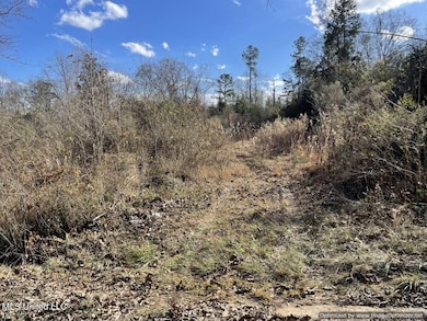 land-for-sale-Newton-County-MS (2)