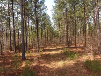 0 Mathis Cemetery Rd unit 2170286, Stewart, TN 37175 - photo 6