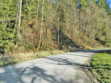 16213 S Prairie Creek Rd E, Orting, WA 98360 - photo 4