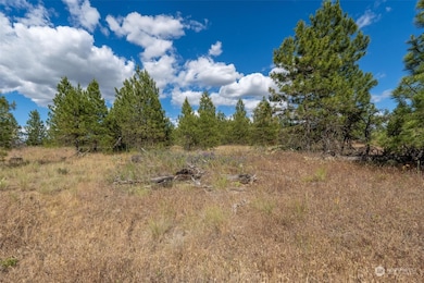 7 Lot Prairie Ln N, Creston, WA 99117 - photo 3