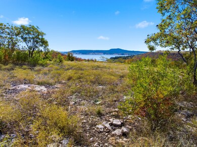TBD Lot 38 Clearwater Ct, Possum Kingdom Lake, TX 76449 - photo 3