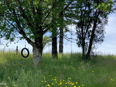 tire and swing