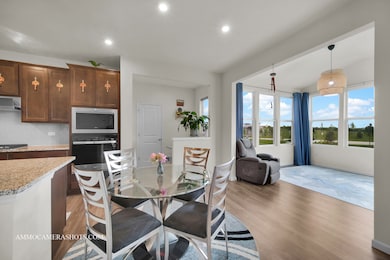 2969 Francis Ct, Aurora, IL 60503 - photo 7