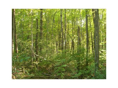 0 Clancy Rd, Hayfield Township, PA - photo 5