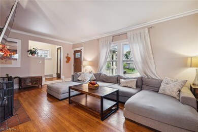 Living room featuring ornamental molding and dark hardwood / wood-style floors