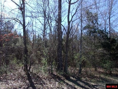 770-05063-000 8th St, Flippin, AR 72619 - photo 2