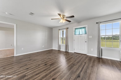 114 Crepemyrtle Ln, Lucedale, MS 39452 - photo 4