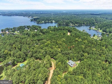 255 Big Oconee River Rd, Sparta, GA 31087 - photo 5