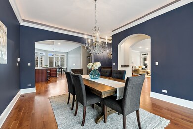 510 E 8th Ave, Naperville, IL 60563 - photo 7