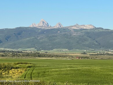 IMG_1367