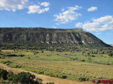 0 Cr 251, Durango, CO 81301 - photo 2