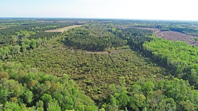 Aerial 6