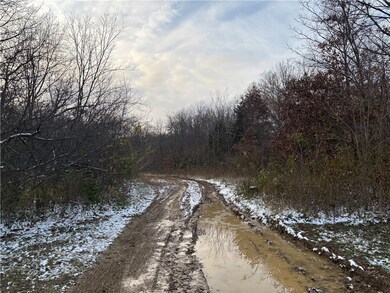 0 Kings Hill Rd, Sumner, IL 62466 - photo 7