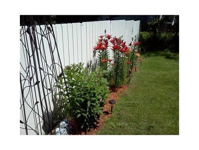 Yard/Garden. The flowers are...
