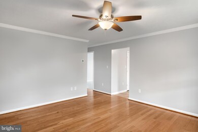 260 Aileen Ave, Strasburg, VA 22657 - photo 6