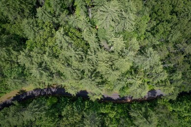 Lot 11 Bear Cove at Fires C, Hayesville, NC 28904 - photo 4