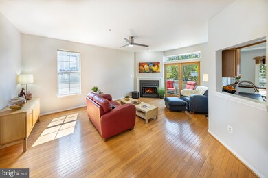 20401 Cool Fern Square, Ashburn, VA 20147 - photo 6