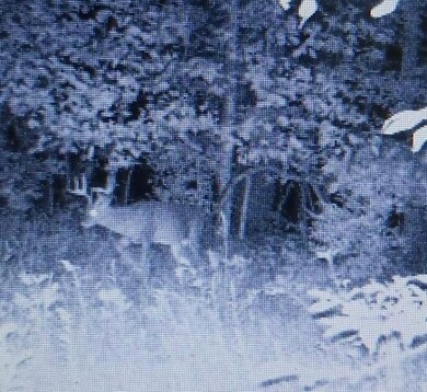 2222 101st Ave, Otsego, MI 49078 - photo 6