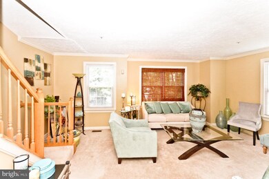 7159 Mahogany Dr, Hyattsville, MD 20785 - photo 6