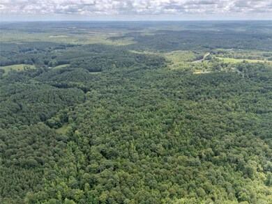 0 Cross Roads Church Rd unit 7629947, Buchanan, GA 30113 - photo 4