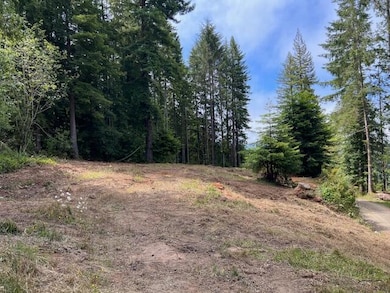 12.3 Acres Splinter Ln, Arcata, CA 95521 - photo 5