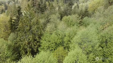 0 Germany Creek Rd unit NWM2032245, Longview, WA 98632 - photo 4