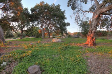 MATURE OAKS ABOUND
