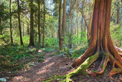 1751 Benson Rd, Point Roberts, WA 98281 - photo 3